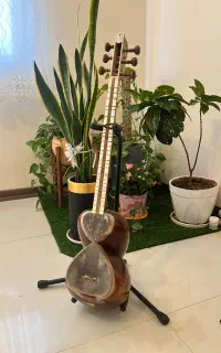 تار فرجی