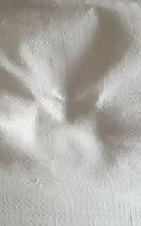 آرد گندم