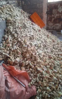 نان خشک فانتزی تر و تمیز