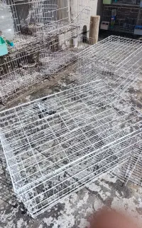قفس جفت کن