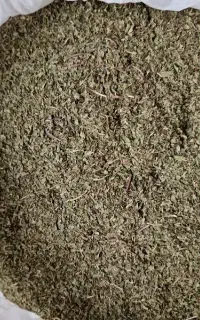 نعناع خشک تازه