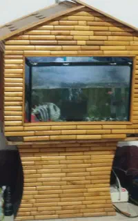 اکواریوم
