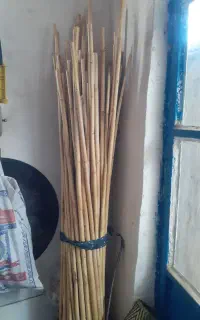 نی فروس