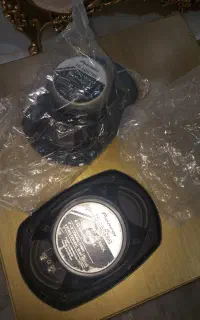 باند پایونر