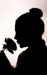 عکاسی حرفه ای