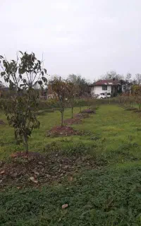 کارگر