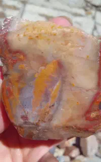 سنگ عقیق و شجر