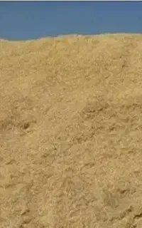 کاه نخود نرم و درجه یک