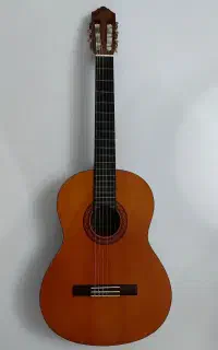 گیتار C40 اندونزی