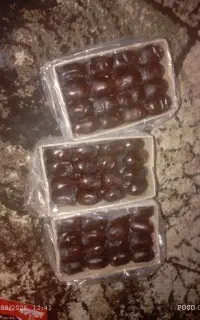 خرما
