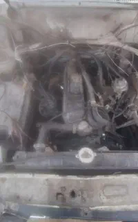 پیکان دو گانه سی ان جی ۷۸