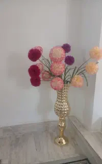 ۵شاخه گل بلند کنار سالنی