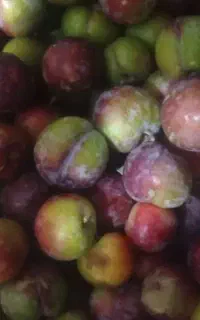 آلو خورشتی وگلاب