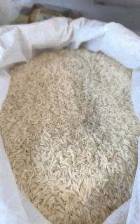 برنج هاشمی درجه یک