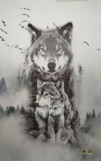 فروش ونصب انواع پوستر سه بعدی ومعمولی
