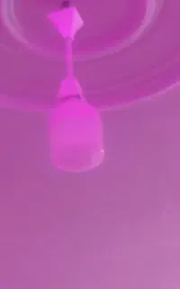 لاپ