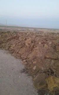 کود حیوانی گوسفندی