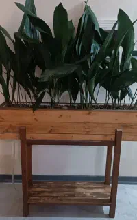 باکس گل چوب روسی