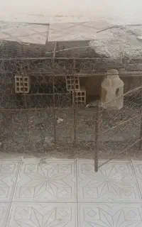 قفس مرغ