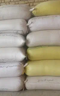 جو محلی فیروزآباد