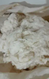 پنبه