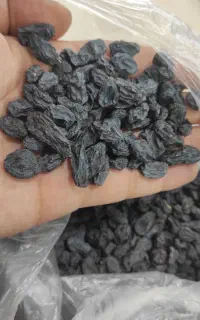 فروش مویز