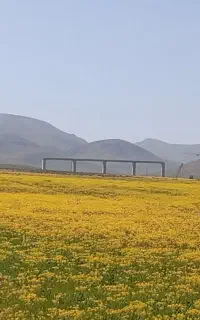 استخدام نقشه بردار پاره وقت