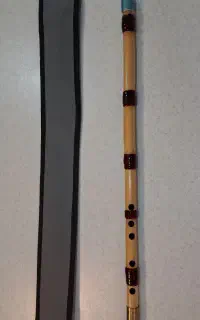 نی سابی زا نو به همراه کاور