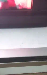 دی وی دی