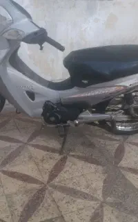 ویو sاصل ژاپن