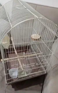 قفس بزرگ با متعلقات داخل