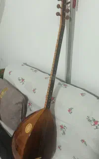 باغلمه دست دراز دو دریچه
