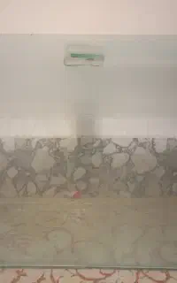 آکواریوم