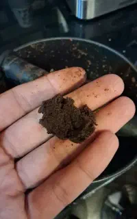 تفاله قهوه برای کود گیاه و رشد بیشتر گیاه