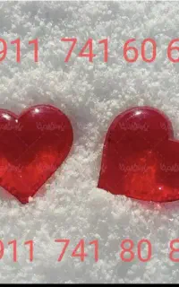 8080  741  0911