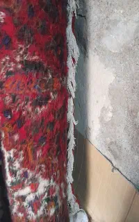 یک جفت فرش شاه باغی