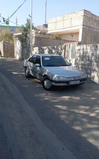 پژو۴۰۵