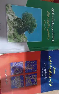 روانشناسی پرورشی نوین و سنجش فرآیند یادگیری سیف