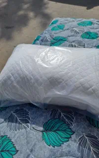 حراج تشک   مهمان