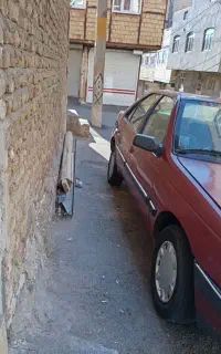 اردی دوگانه