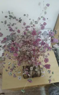 لعل کوهستان یا مشکورک