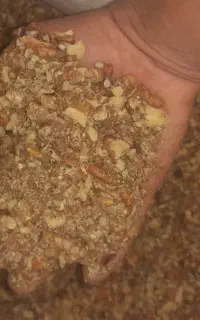 خاک گردو