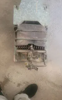 لانه پرنده  مرغ  کبوتر  بوقلمون