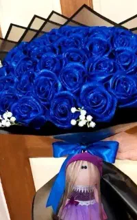 عروسک/باکس/ کافیه بودجه مدنظر رو بگی
