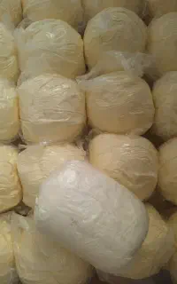 کره حیوانی