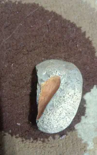 یک سنگ مرمر