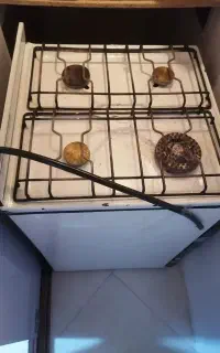 گازفر دار چهار شعله