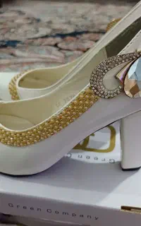 کیف و کفش ست مجلسی