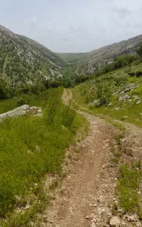 کار گر غله چین