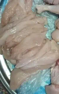 فیله مرغ